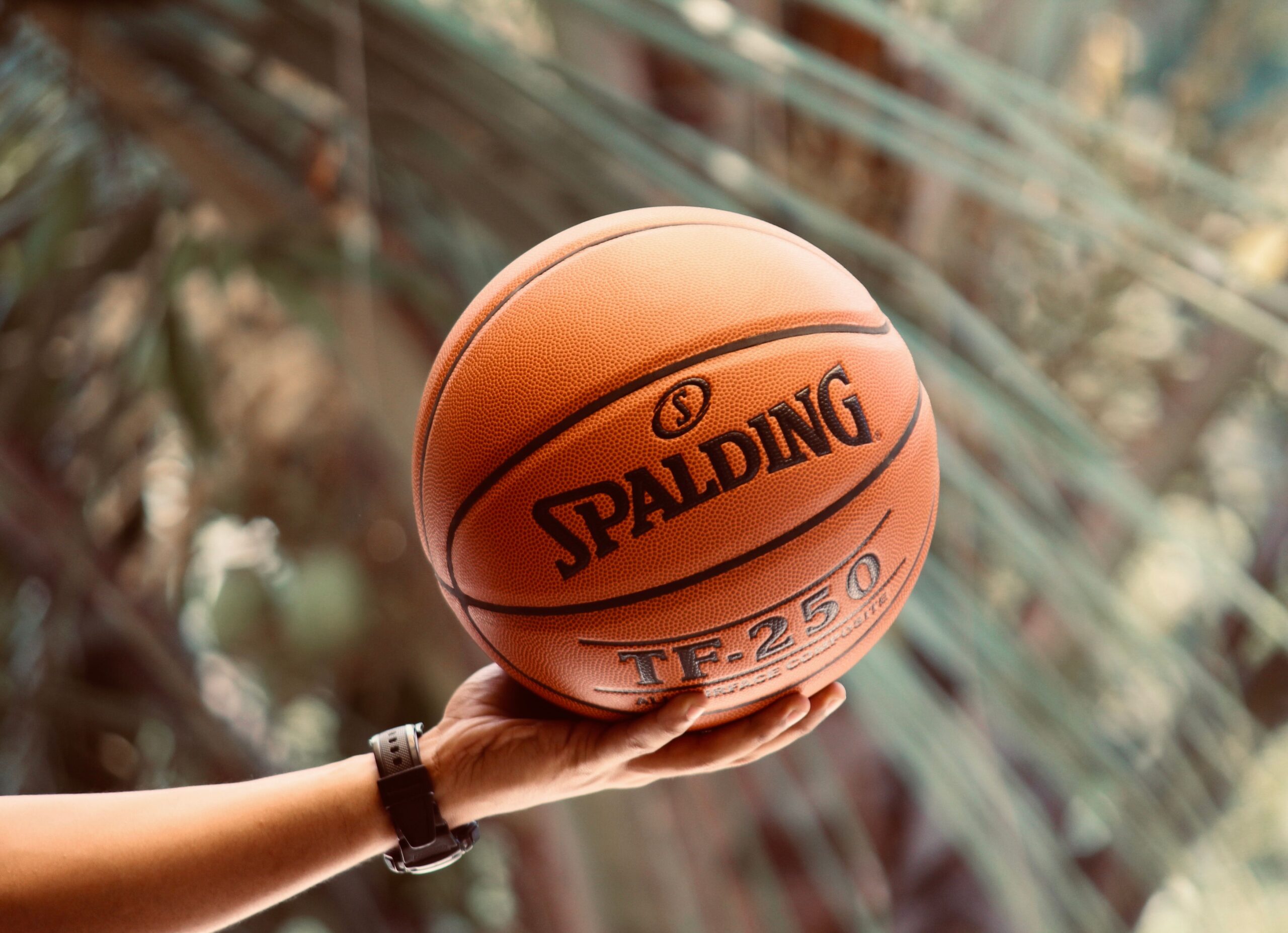 NBA Ball in palm